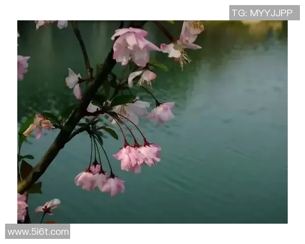 追梦心声：三年附加赛的煎熬让我倍感疲惫与无奈